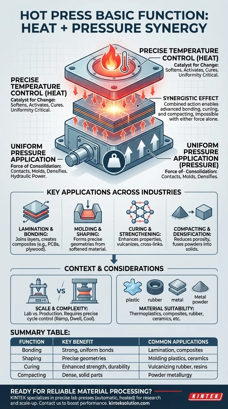 Was ist die grundlegende Funktion einer Heißpresse?Materialbindung und Formgebung mit Präzision freischalten Visuelle Anleitung
