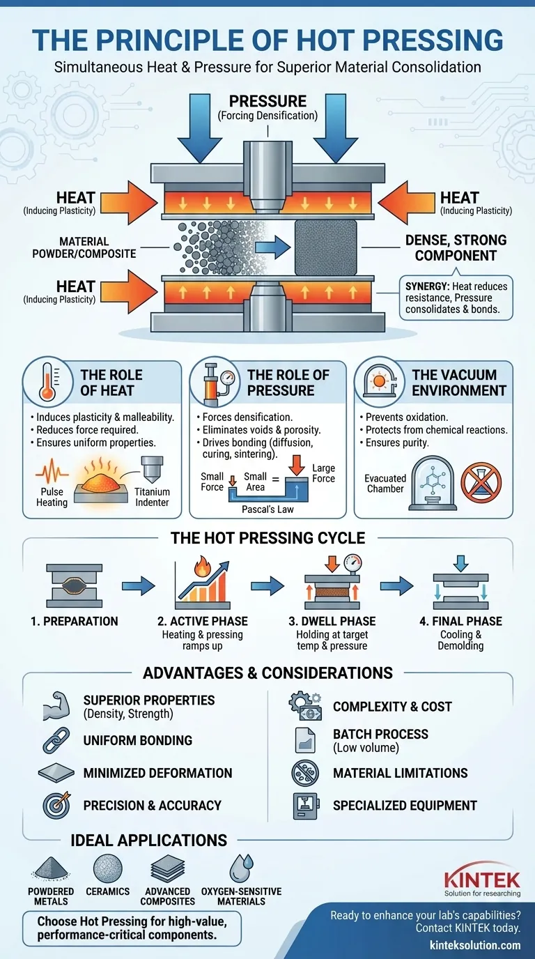 Was ist das Prinzip des Heißpressens?Hervorragende Materialverfestigung und Festigkeit erreichen Visuelle Anleitung