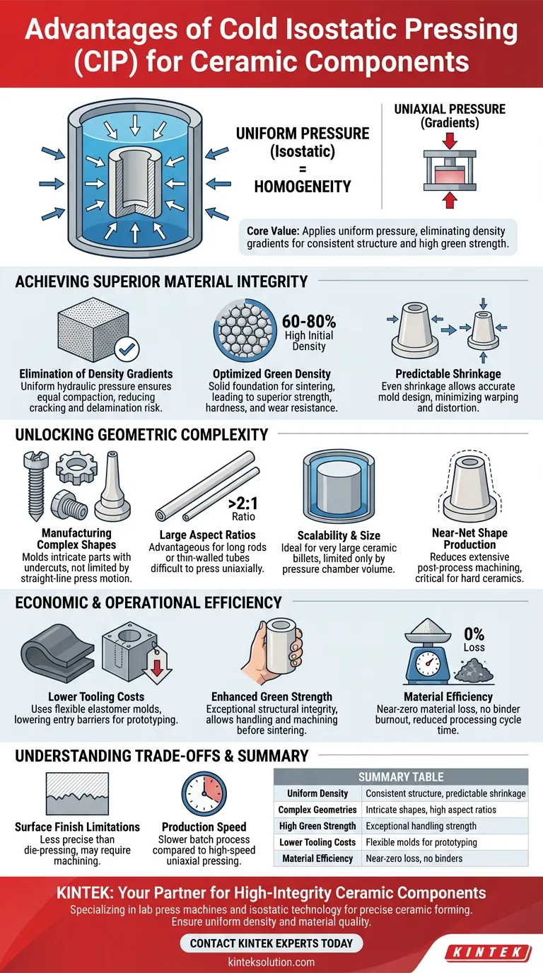 セラミック部品の製造にコールド等方圧プレス（CIP）を使用する具体的な利点は何ですか？ 優れた均一性と複雑な形状を実現 ビジュアルガイド