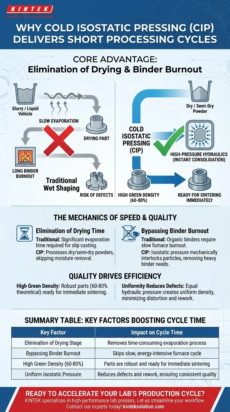 Warum hat das kalte isostatische Pressen (CIP) kurze Prozesszykluszeiten? Schnellere Produktion durch Hocheffizienz Visuelle Anleitung