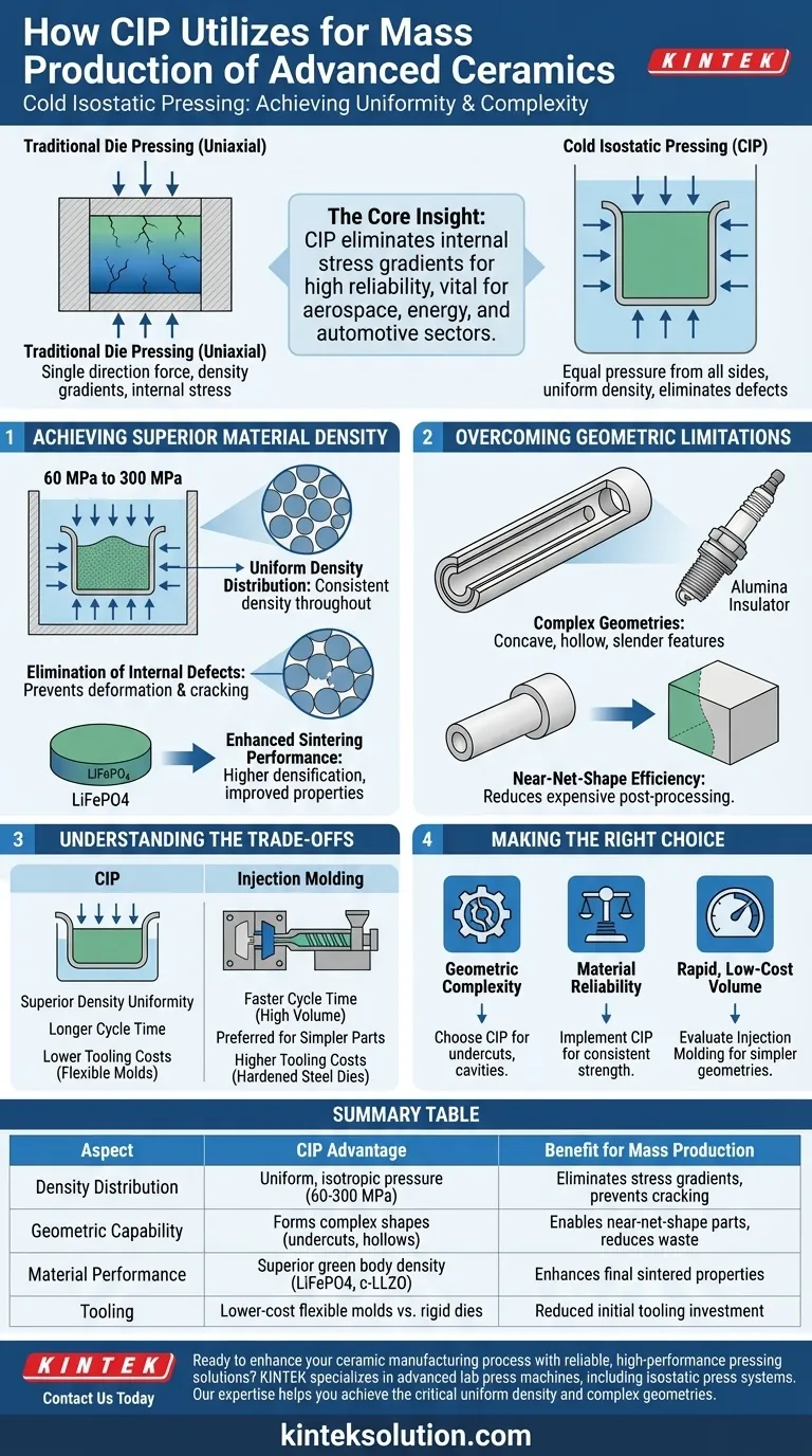 高度セラミックスの量産にコールド等方圧プレス（CIP）はどのように活用されていますか？優れた密度と複雑な形状を実現 ビジュアルガイド