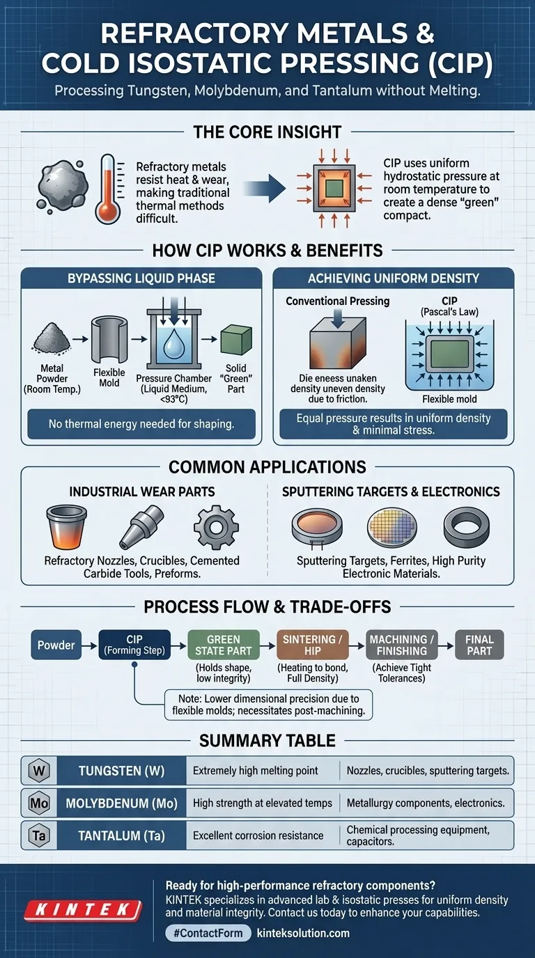 冷間等方圧造法（CIP）で製造される高融点金属は何ですか？タングステン、モリブデン、タンタルを加工します。 ビジュアルガイド