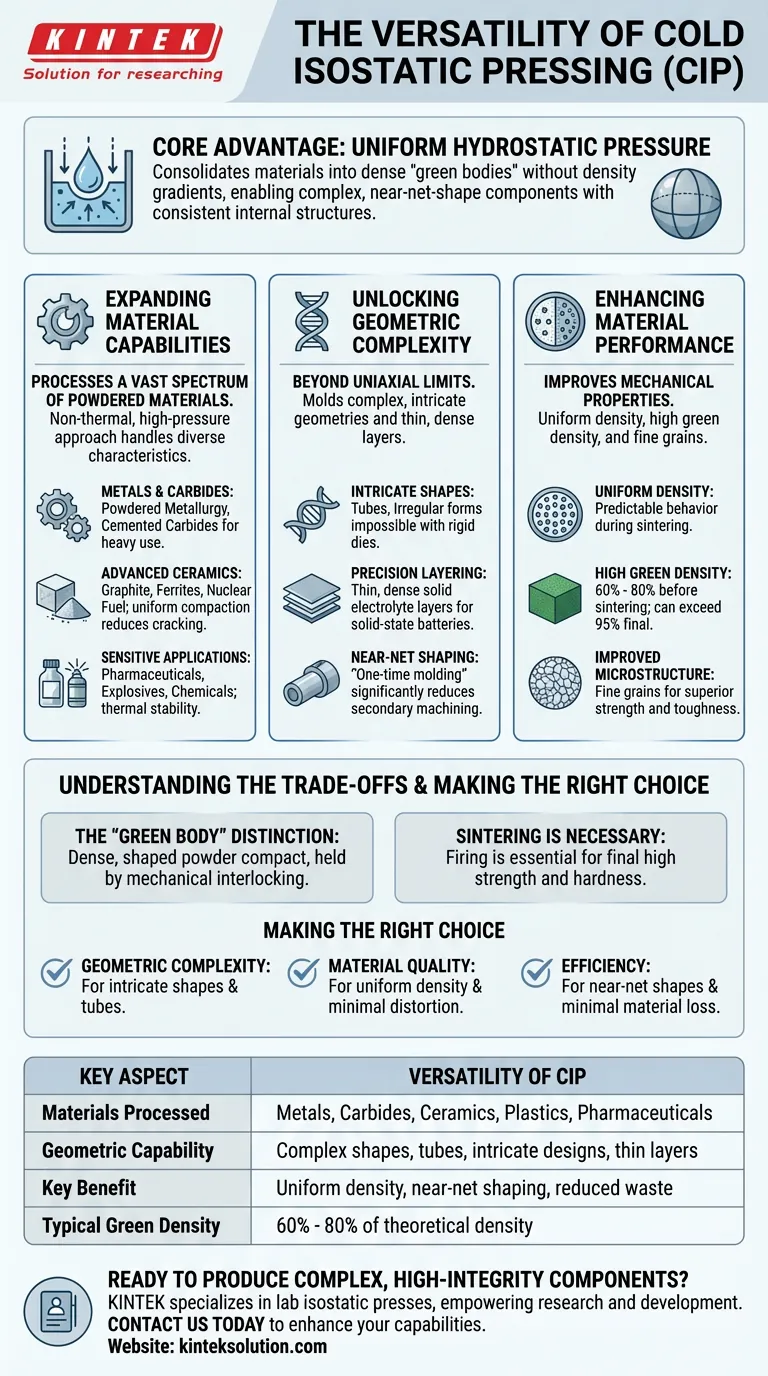 コールド等方圧プレス（CIP）の材料加工における汎用性とは？複雑な形状と均一な密度を解き明かす ビジュアルガイド