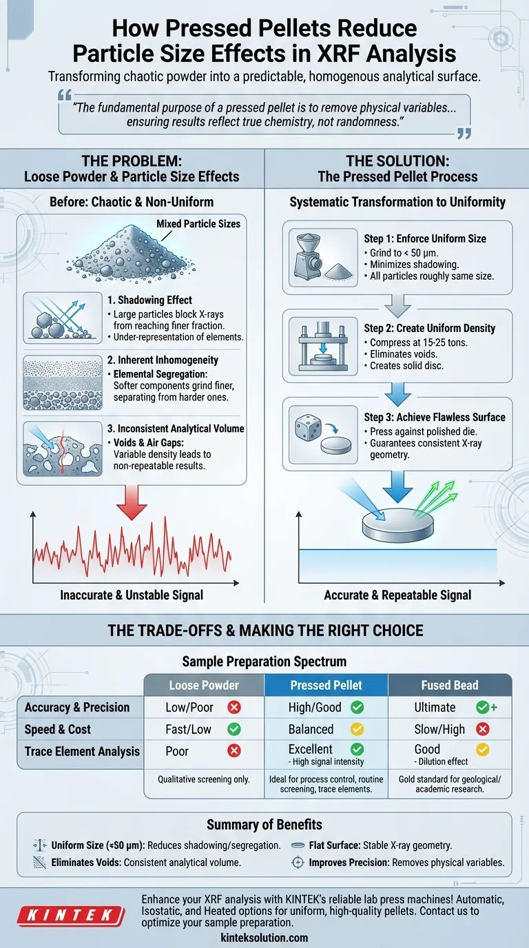 ¿Cómo reducen los pellets prensados los efectos del tamaño de partícula en el análisis XRF? Logre una preparación de muestra precisa y homogénea Guía Visual