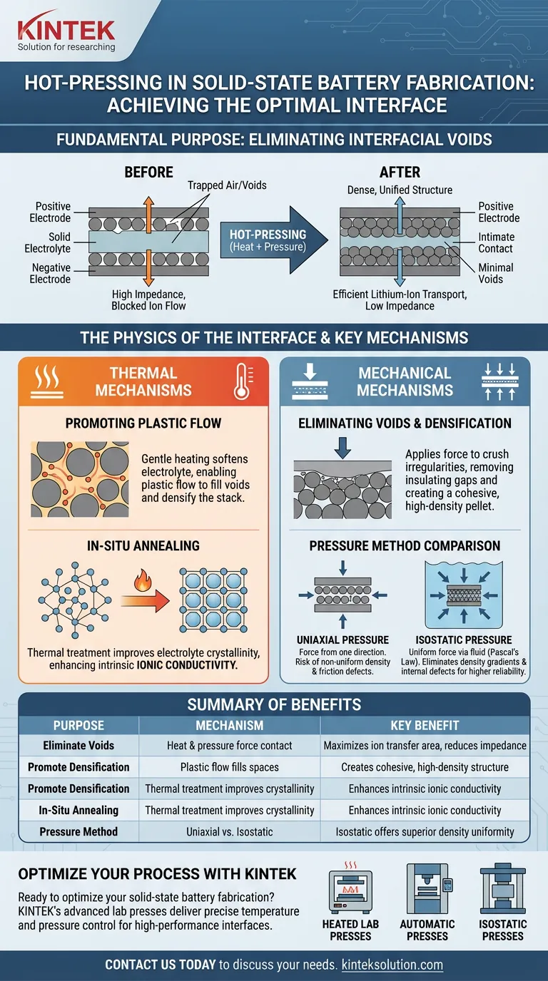 Qual é o propósito fundamental do processo de prensagem a quente na fabricação de baterias de estado sólido? Eliminar vazios e aumentar o transporte de íons Guia Visual