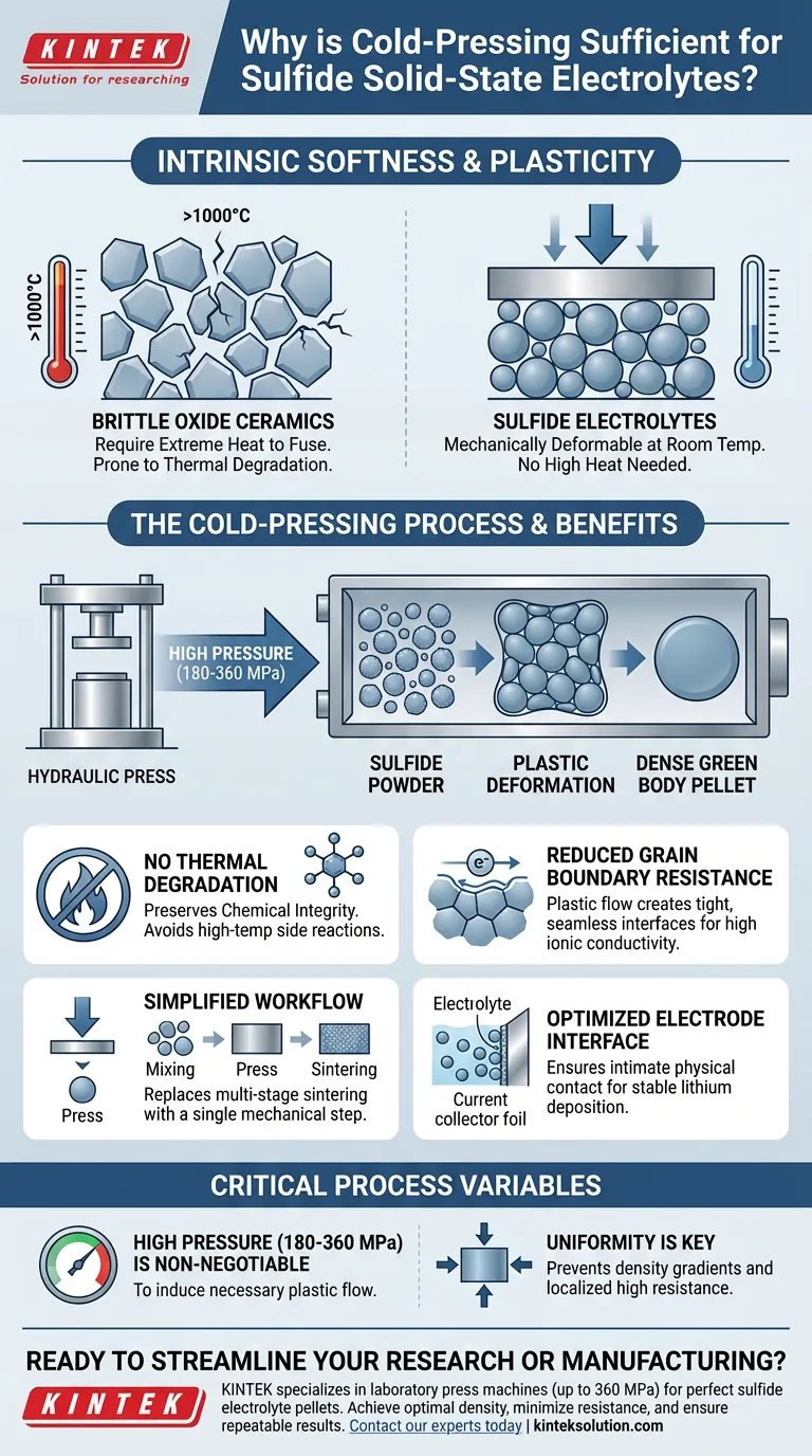 Perché un processo di pressatura a freddo è spesso sufficiente per preparare elettroliti solidi a base di solfuri? Ottieni una densificazione efficiente a temperatura ambiente Guida Visiva