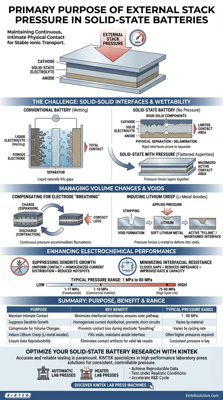 Qual è lo scopo principale dell'applicazione di una pressione esterna sullo stack durante il funzionamento e il test delle batterie allo stato solido? Garantire prestazioni stabili e longevità Guida Visiva