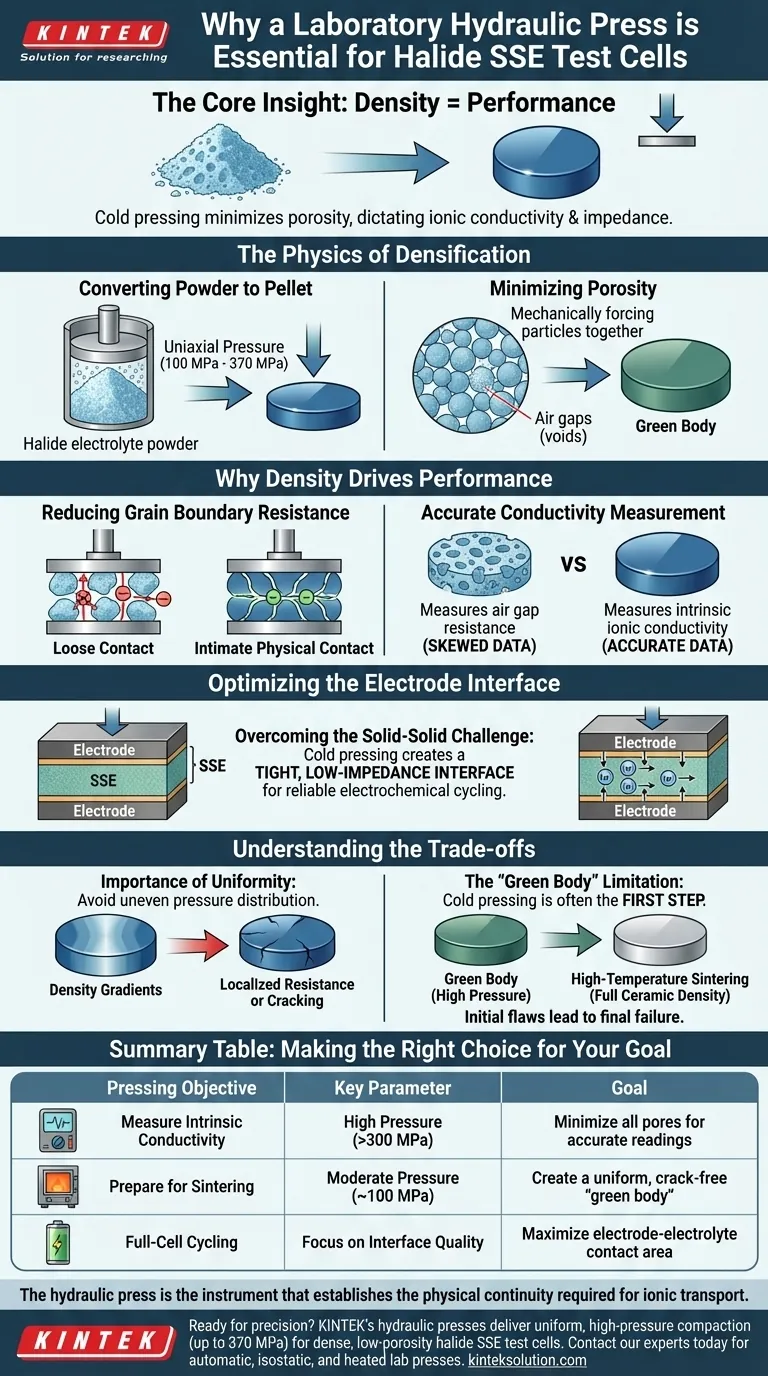 Perché una pressa idraulica da laboratorio è essenziale per la preparazione di celle di prova per elettroliti allo stato solido (SSE) alogenuri mediante pressatura a freddo? Ottenere pellet densi e ad alte prestazioni Guida Visiva