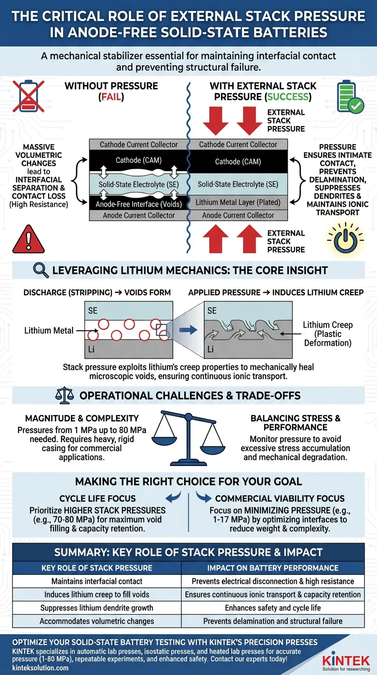 Почему внешнее давление на сборку необходимо для твердотельных батарей без анода? Обеспечение стабильного цикла и предотвращение отказа Визуальное руководство