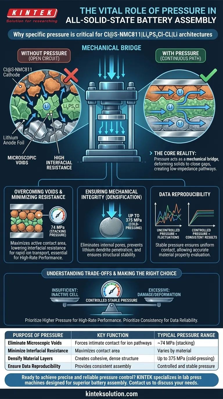 Perché l'applicazione di una pressione specifica con una pressa è necessaria durante l'assemblaggio finale di una batteria completamente allo stato solido? Ottenere un assemblaggio di batterie ad alte prestazioni Guida Visiva