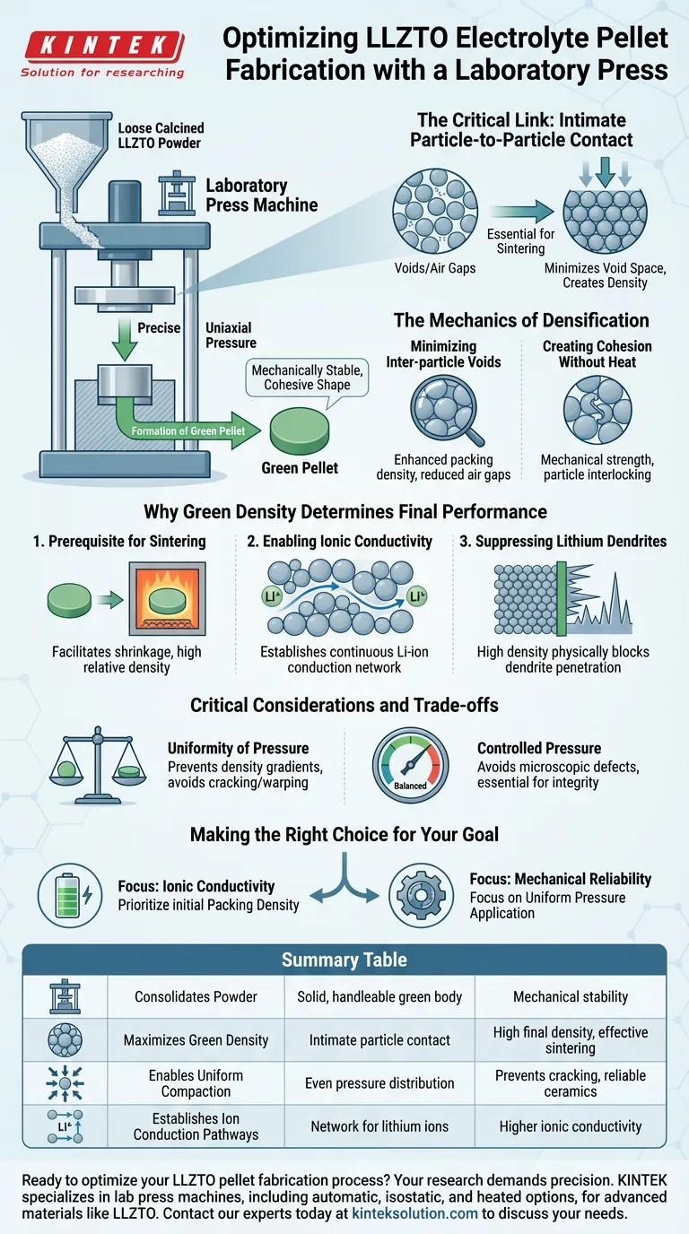 Qual è la funzione di una pressa da laboratorio nella formazione di un pellet verde da polvere di elettrolita Li₆.₅La₃Zr₁.₅Ta₀.₅O₁₂ (LLZTO)? Ottenere elettroliti solidi ad alta densità per prestazioni superiori della batteria Guida Visiva