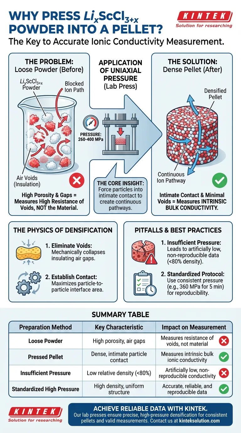 Perché è necessario pressare la polvere di elettrolita allo stato solido LixScCl3+x in un pellet? Garantire misurazioni accurate della conduttività ionica Guida Visiva
