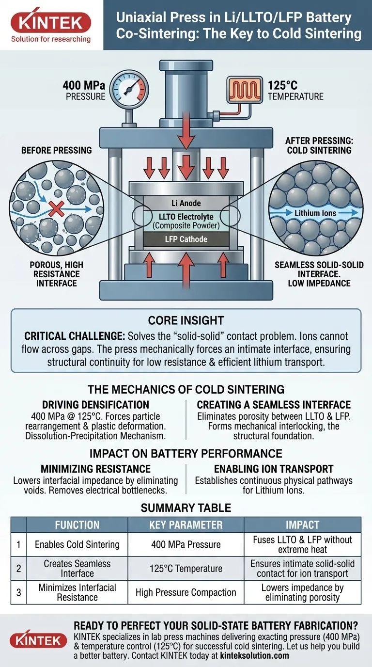 共焼結ステップ中に単軸プレスはどのような機能を発揮しますか？全固体電池のコールドシンタリングを可能にする ビジュアルガイド