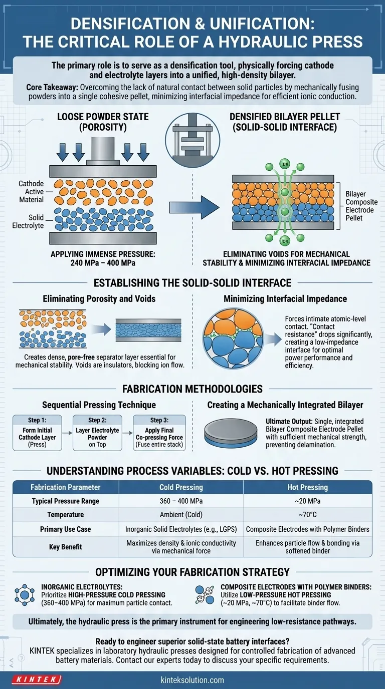 Quale ruolo svolge una pressa idraulica nella fabbricazione della struttura a doppio strato catodo/elettrolita per una batteria allo stato solido? Ottenere interfacce ad alta densità e bassa impedenza Guida Visiva