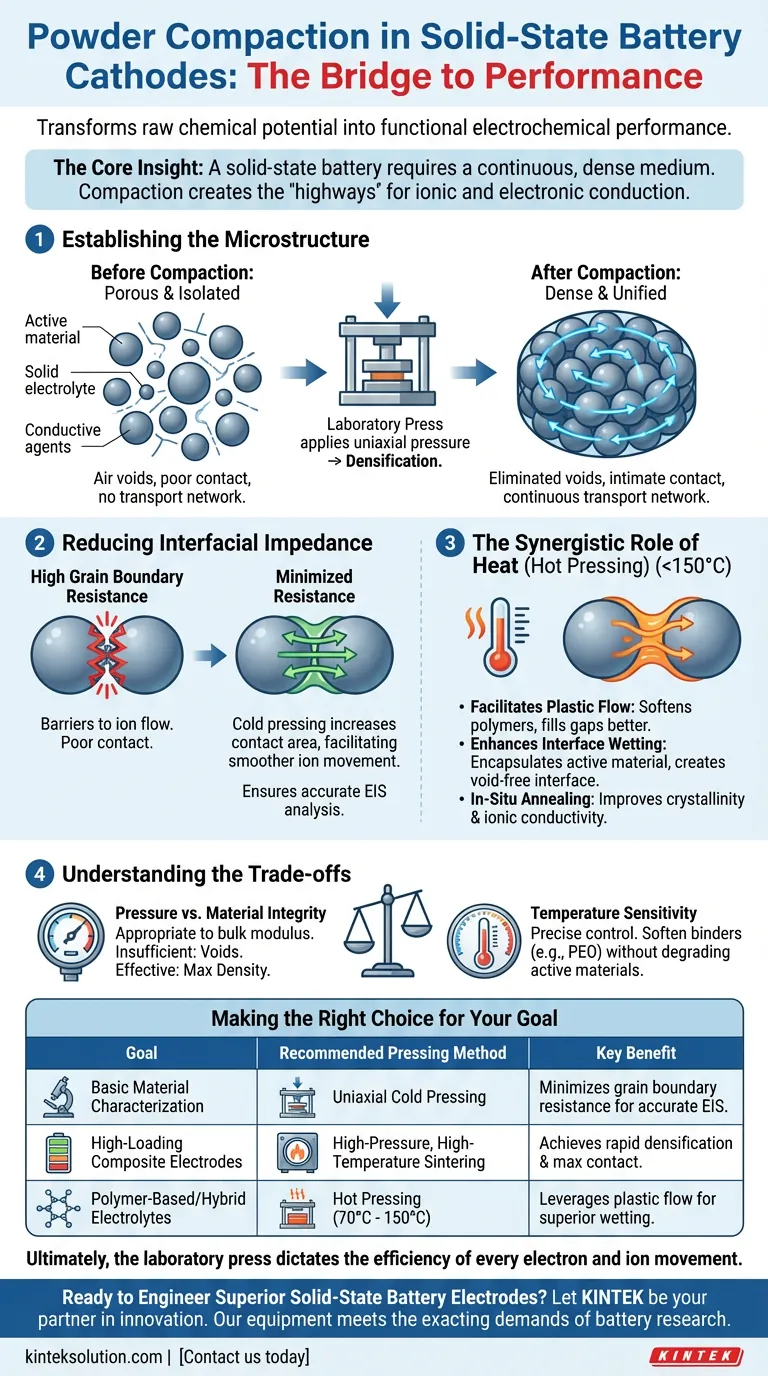 全固体電池の正極において、ラボプレスを用いた粉末圧縮成形が必要な理由とは？最適な電気化学的性能を引き出す ビジュアルガイド
