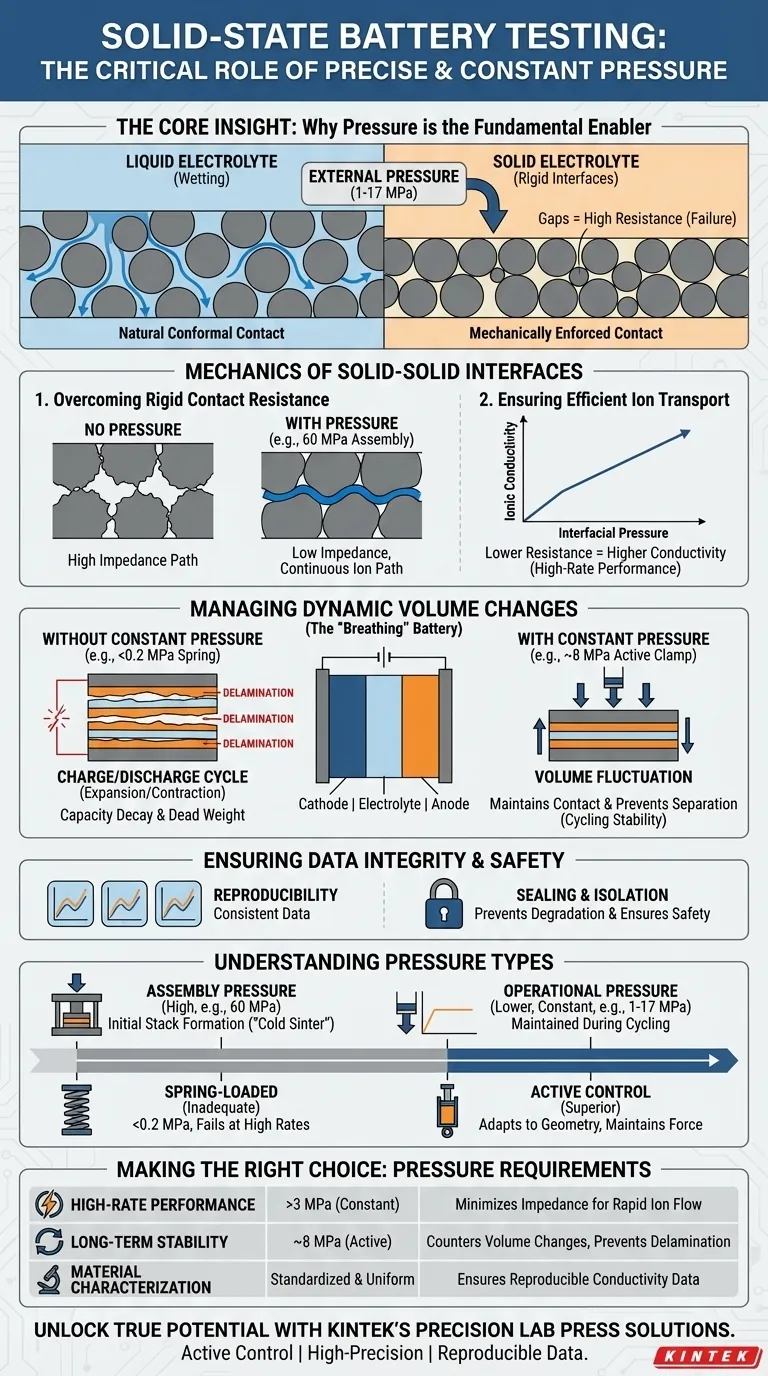 固体電池の試験中に、電極/電解質界面に正確かつ一定の圧力を印加することの重要性は何ですか？真のパフォーマンスを解き放つ ビジュアルガイド