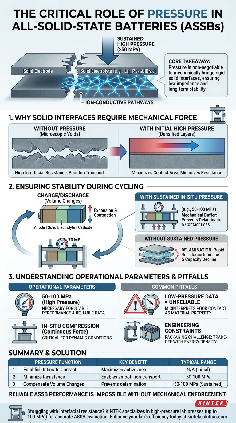 全固体電池の構成要素に圧力を印加・維持する役割は何ですか？信頼性の高い性能と長いサイクル寿命を実現する ビジュアルガイド