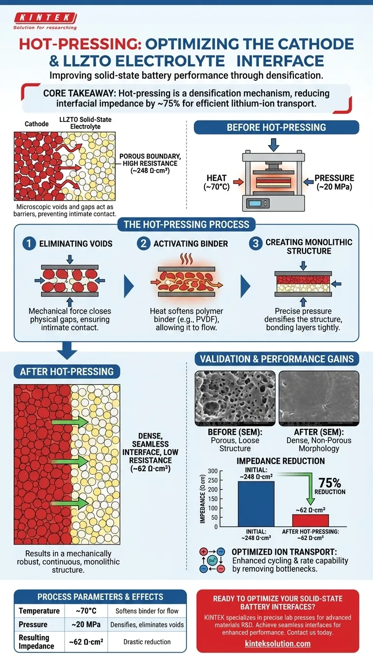 Como a prensagem a quente melhora o contato catodo-LLZTO? Alcance 75% Menos Impedância Interfacial Guia Visual