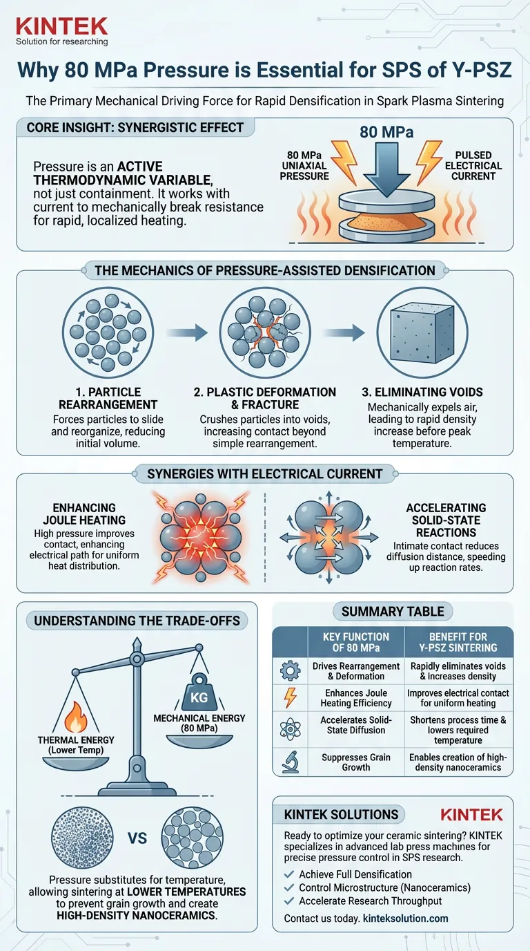 Perché l'applicazione di una pressione uniassiale di 80 MPa è essenziale durante la sinterizzazione di polveri Y-PSZ mediante Spark Plasma Sintering (SPS)? Raggiungere una densificazione rapida e completa Guida Visiva