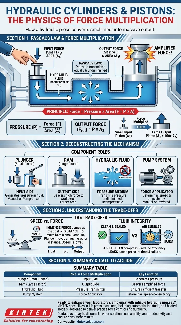 液压缸和活塞在压力机中是如何工作的？揭示力的放大秘密 图解指南