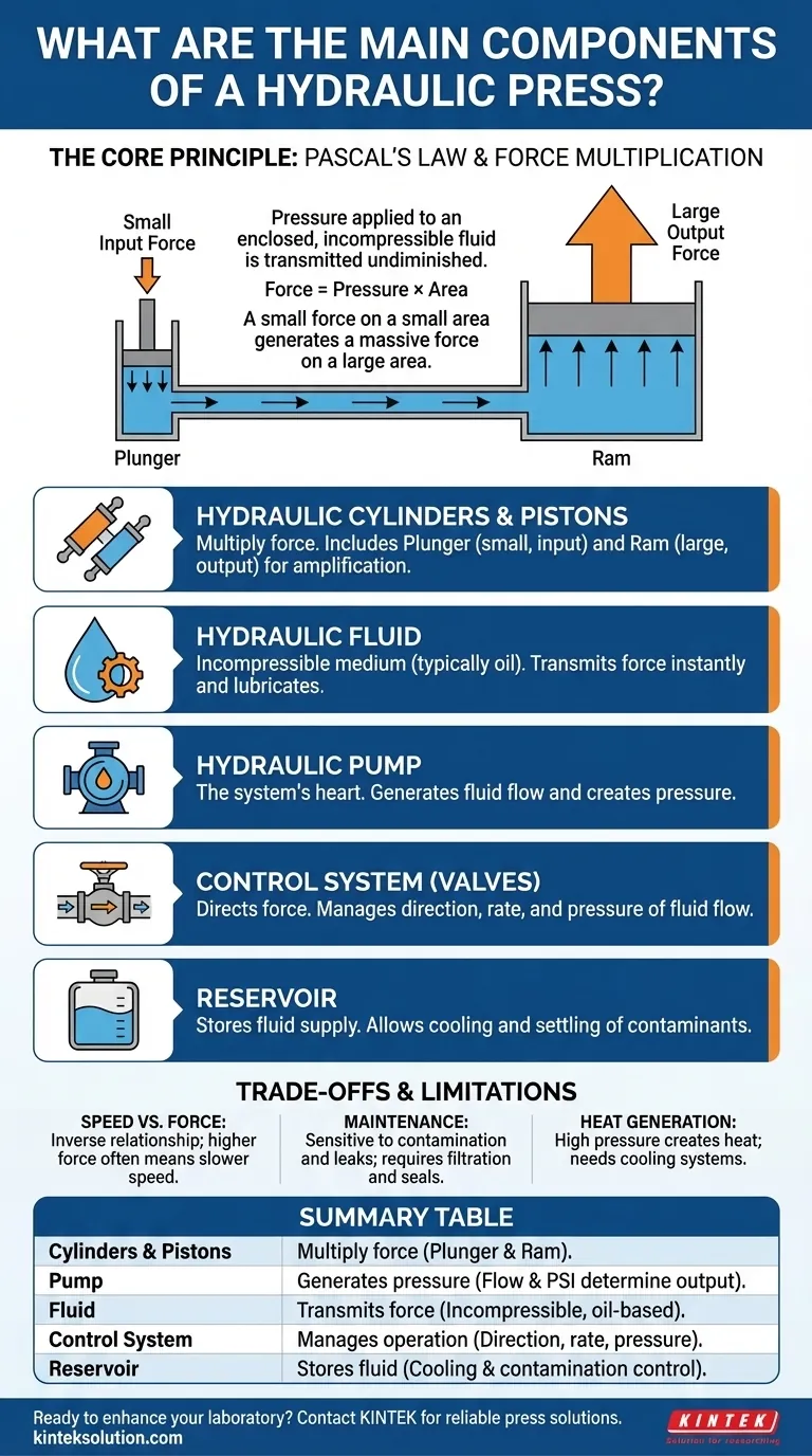 Quali sono i componenti principali di una pressa idraulica? Scopri le parti fondamentali per la moltiplicazione della forza Guida Visiva