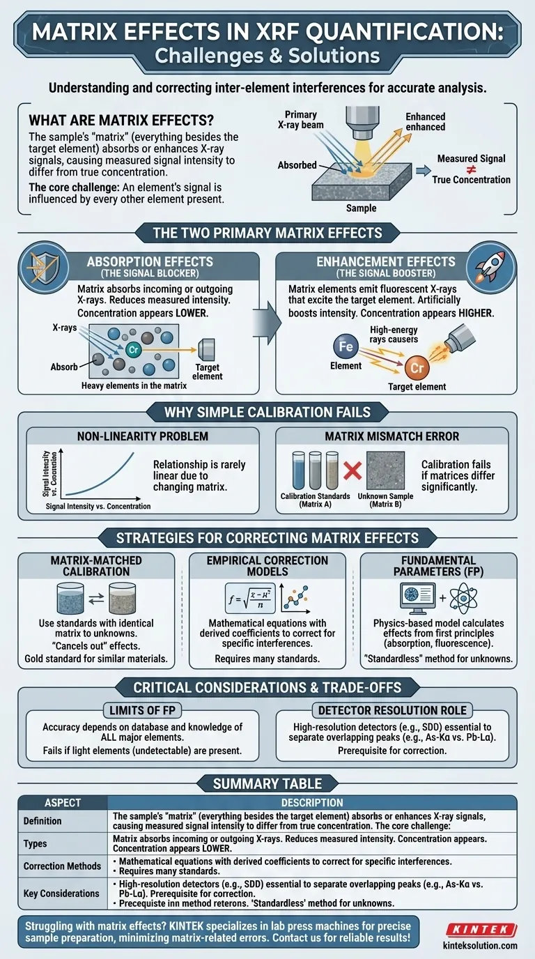 XRF定量におけるマトリックス効果とは？実証済みの補正方法で正確な元素分析を習得する ビジュアルガイド