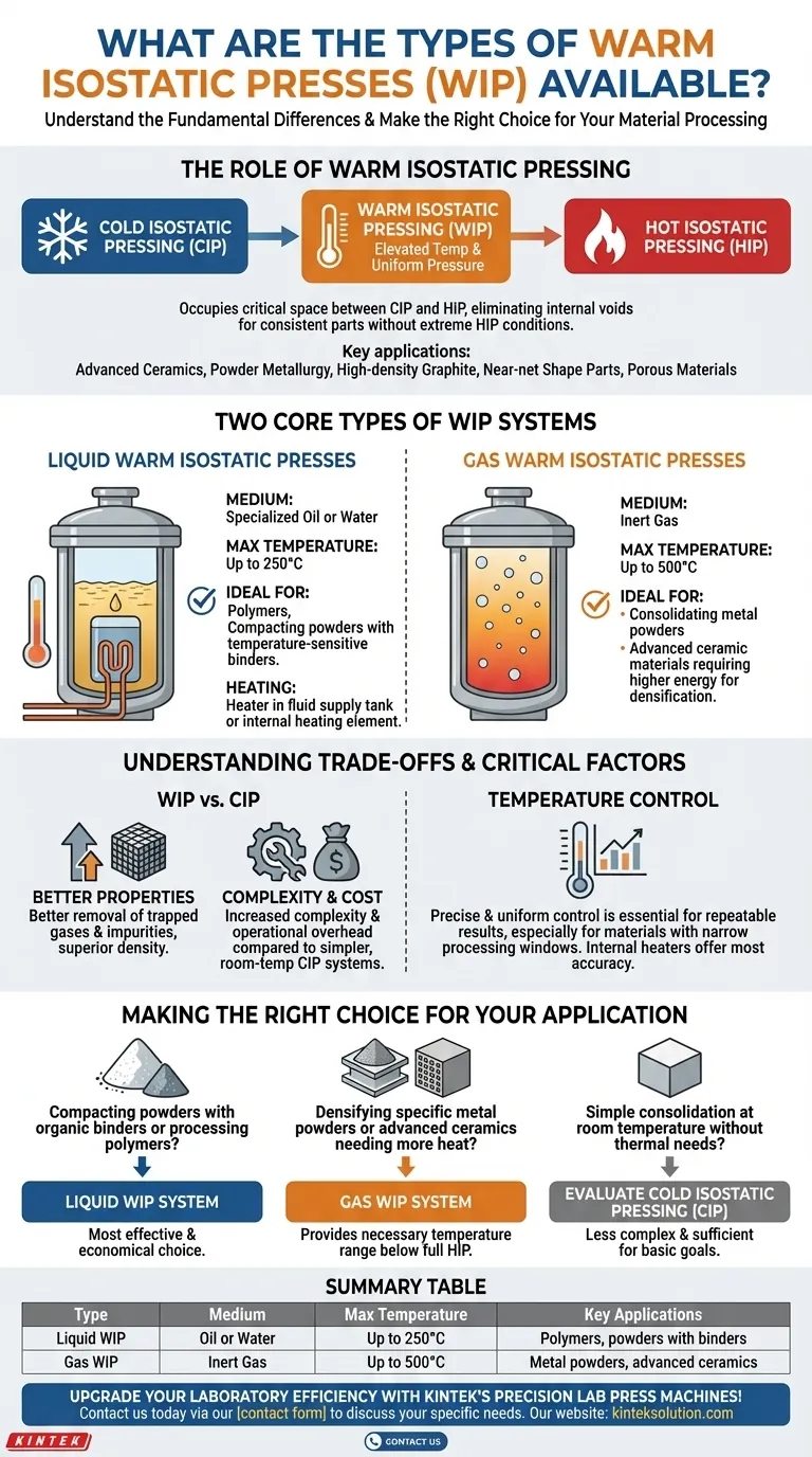 What are the types of Warm Isostatic Presses available? Choose the Right System for Your Material Needs Visual Guide