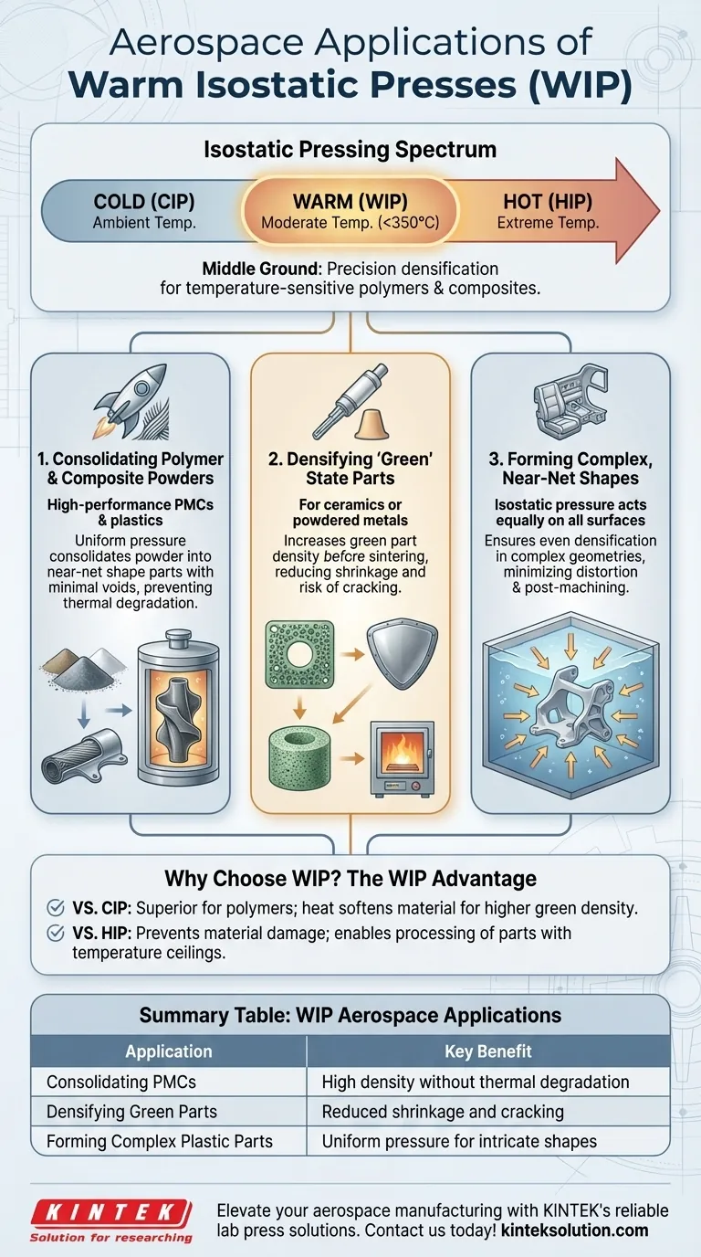 What are some specific applications of Warm Isostatic Presses in aerospace? Enhance Component Performance with Precision Pressing Visual Guide