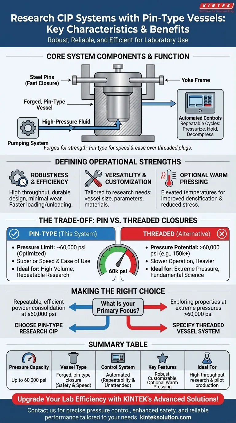 What are the key characteristics of Research CIP Systems with pin type vessels? Discover Efficient, Safe Lab Pressing Solutions Visual Guide